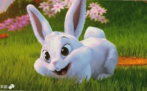 揭秘娱乐圈背后的美食与友情故事